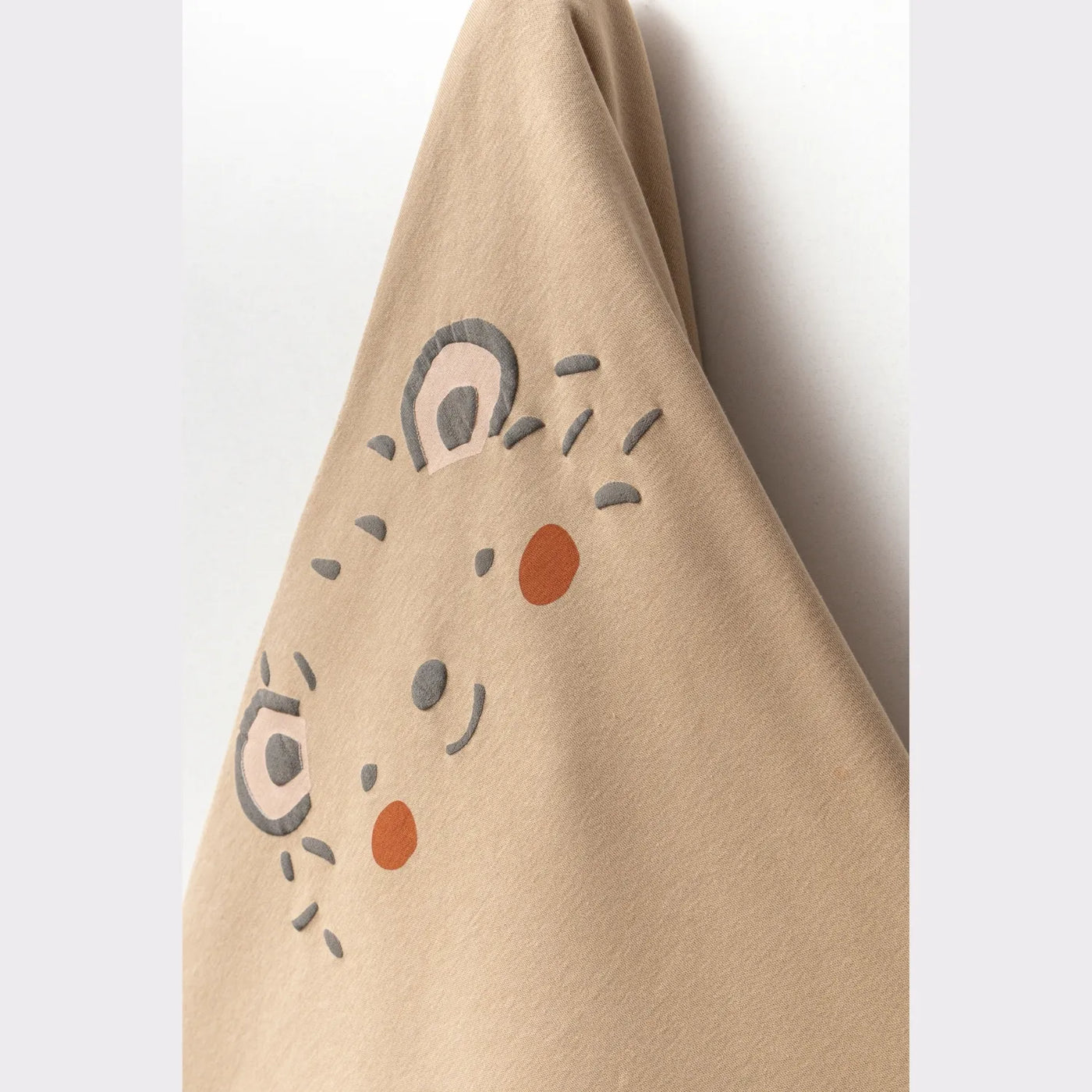 Kirpi 10'lu Erkek Bebek Hastane Çıkıșı