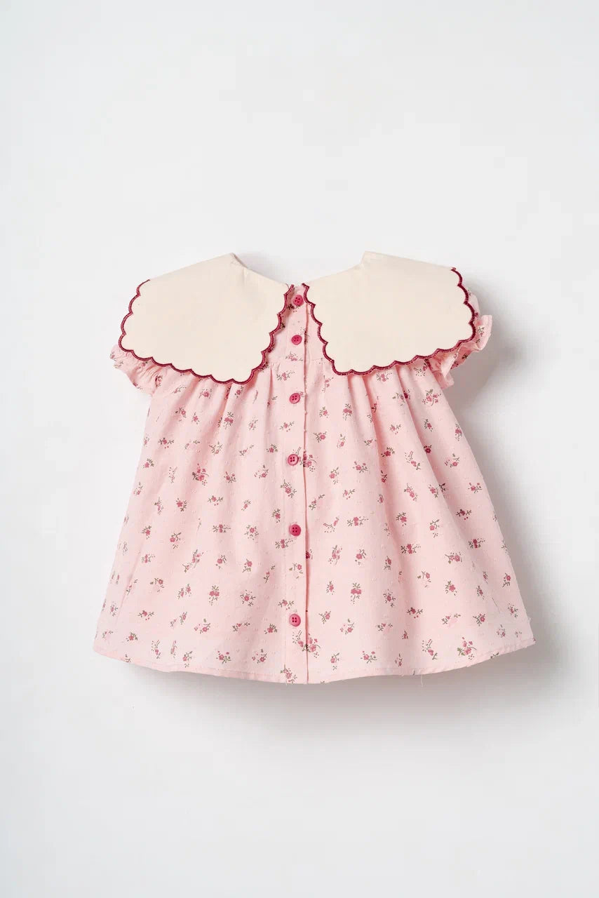 Büyük Fiyonklu Çıtır Çiçekli Bebe Yaka Kız Bebek Elbise